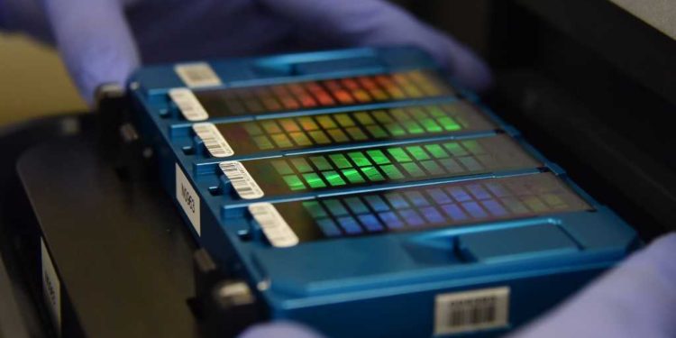 In this picture taken on August 22, 2018, a technician places an array containing DNA information in a scanner at GeseDNA Technology in Beijing. - China's DNA sequencing market was worth about 7.2 billion yuan (1.05 billion USD) last year and is forecast to grow to 18.3 billion yuan in 2022, according to estimates by Beijing-based CCID Consulting. (Photo by GREG BAKER / AFP) / To go with China-genetics-demographics-DNA, Feature by Danni Zhu and Elizabeth Law