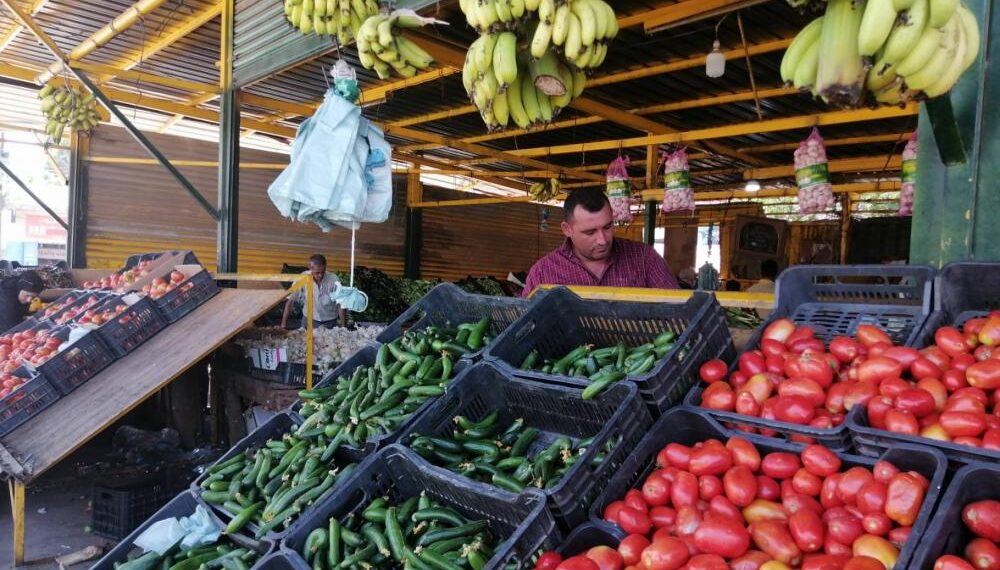 البندورة والخيار والسرقة ثالثهما