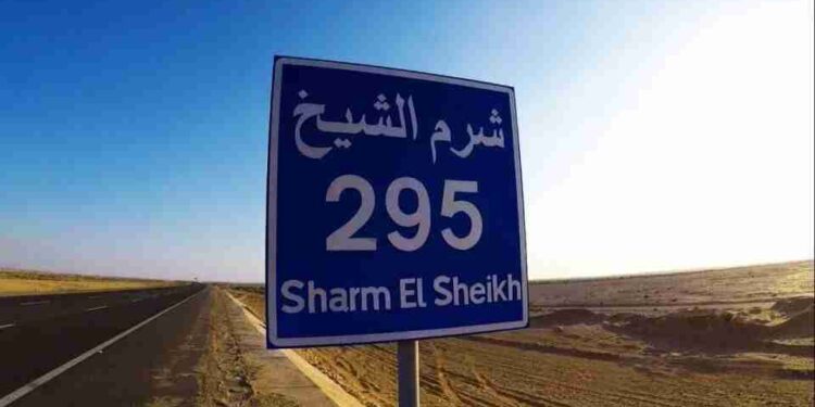 عزت الداعوق