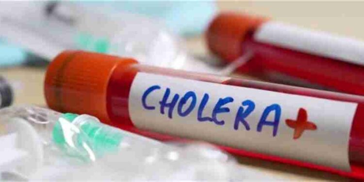 cholera