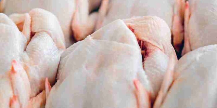 Raw  butchered chicken in queue