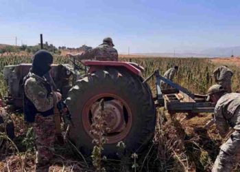 عودة قطار إتلاف الحشـــ.يشة… و”المفاجأة الكبرى”